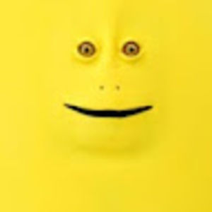 Meet your Posher, Drake